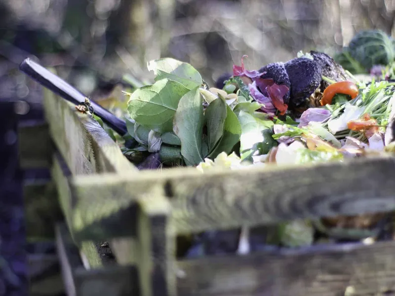 compost