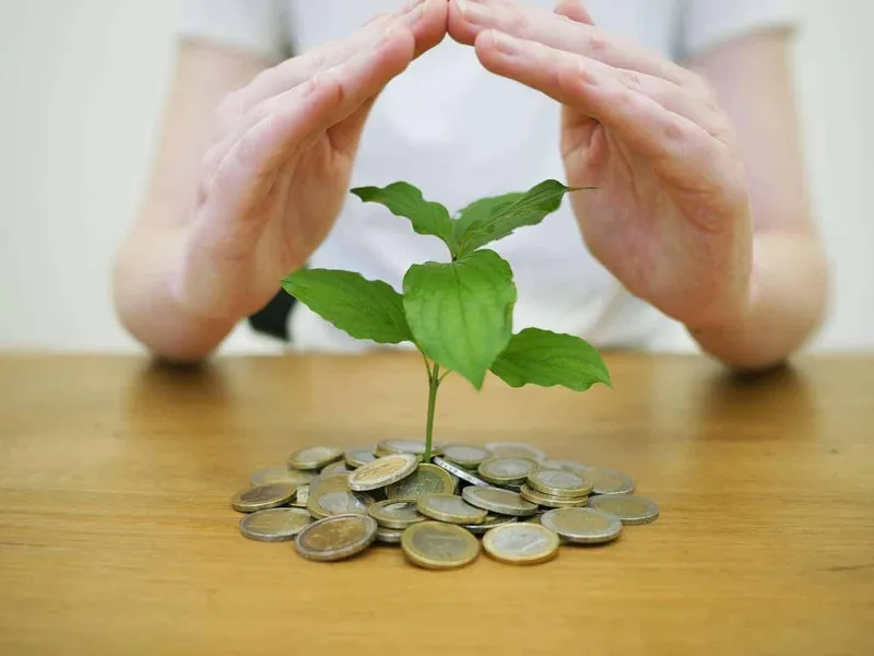 Watching money grow