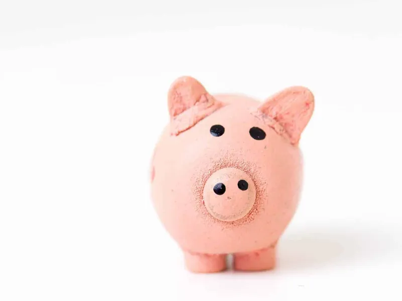 Pink piggy bank