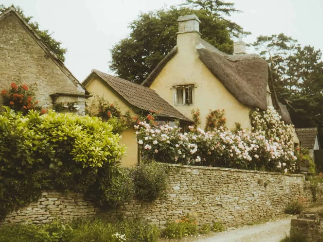 Thatched cottage