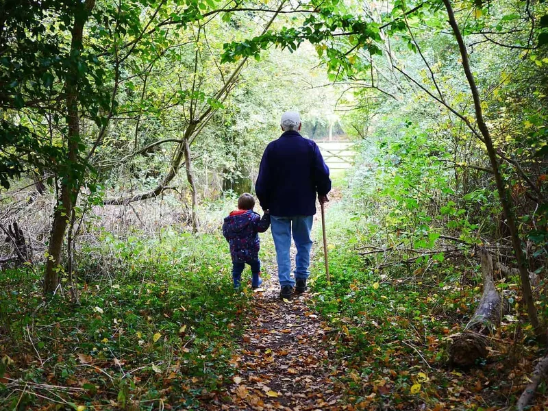 A walk in the woods